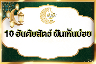 10 อันดับสัตว์ ฝันเห็นบ่อย