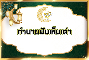ทำนายฝันเห็นเต่า