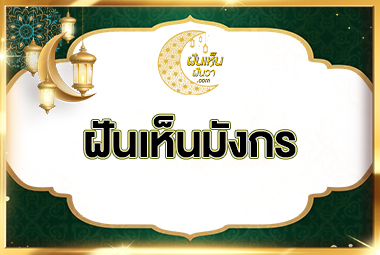 ฝันเห็นมังกร