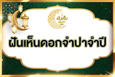 ฝันเห็นดอกจำปีจำปา